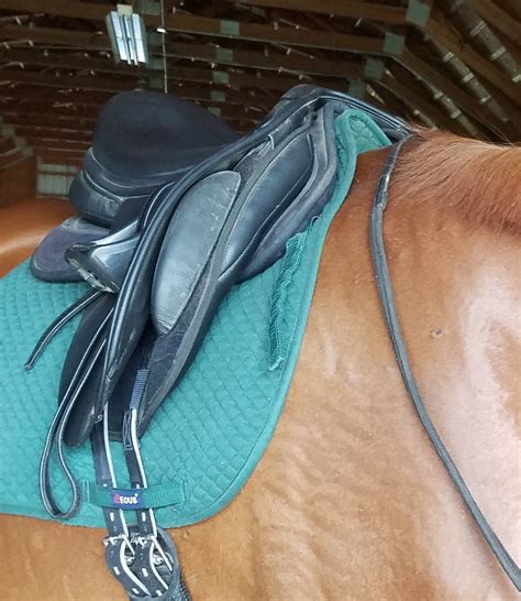 saddle pad with built half